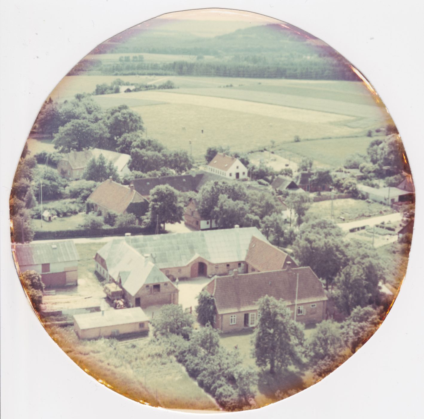 Birkegård